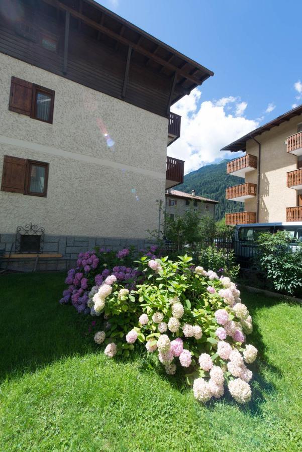 Residence Alpen Casavacanze Pinzolo Exterior photo